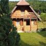 Ferienhäuser - Bajina Bašta, Vikendica Planinska kuća Rašo