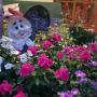 Мини-гостиницы - Alakhadzi, U Norika i Susanny Guest House
