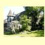 Bed and breakfasts - Ittlenheim, La Tourelle de Mithra