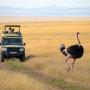 Chaty v prírode - Talek, Mara Big Five Camp