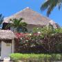 Apartmány - Watamu, Africa Yetu House simba e duma