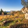 Hotely - Baiersbronn, Nationalpark-Hotel Schliffkopf