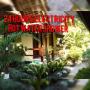 Penziony – hostince - San Vicente, Kiwi Lodge Port Barton