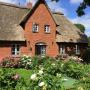 Apartmány - Borgsum, Haus-Wilke