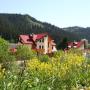 Hotels - Slavske, Liliana