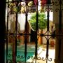 Riads - Marrakech, Riad El Noujoum