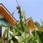 Bed and breakfasts - Phong Nha, Phong Nha Friendly Home