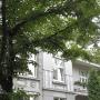 Hotely - Hamburk, Hotel Mare