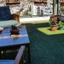 Ferienwohnungen - Cheraga, F1 avec terrasse aux Géraniums