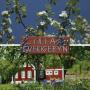 Ferienhäuser - Rumskulla, Lilla Sverigebyn