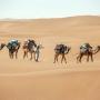 Campsites - Mhamid, Camp Sahara Holidays