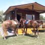 Lodges - San Antonio de Areco, Cabaña Ecuestre el Encuentro