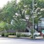 Дома для отпуска - Галвестон, New! Luxury & Location! Beautiful historic home, close to beach and downtown! - Galveston Getaway