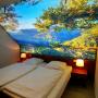 Apartmány - Badenweiler, Park-Appartements