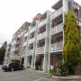 Residence - Launceston, Adina Place Motel Apartments