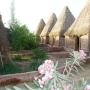 Campsites - Bawiti, Badry Sahara Camp
