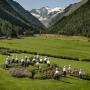 Hotely - Cogne, Bellevue Hotel & SPA