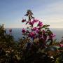 Apartmány - Roquebrune-Cap-Martin, My Sweet Home