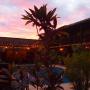 B&B (nocľahy s raňajkami) - Sámara, Samara Palm Lodge