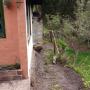 Campsites - San Rafael, Casa campesina la Maria
