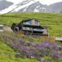 Hotely - Breuil-Cervinia, Bergman Mountain Hotel