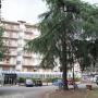 Hotely - Florencie, Auto Park Hotel