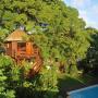 Vendégházak - Belle Mare, Tree Lodge Mauritius