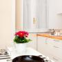 Ferienwohnungen - Salerno, Bed And Travel Apartment San Giorgio