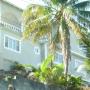 Guest houses - Port Antonio, East Bay Villas