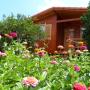 Гостевые дома - Чиралы, Ugur Pansiyon Bungalows