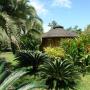 Lodges - Cahuita, Bungalow Malú