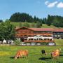 Hotely - Fischen, Sonnenbichl Hotel am Rotfischbach
