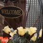 Affittacamere - Toronto, The Parkway Place Guesthouse