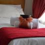 Vendégházak - Centurion, Aandbloem Guest House
