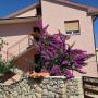 Apartmány - Pula, Apartment Alice