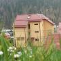 Guest houses - Azuga, Pension Flora Alpina