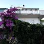Apartmány - Trogir, Apartments Marija