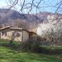 Venkovské domy - Camerata Vecchia, B&B La Quercia che Ride