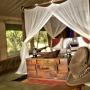 Luxusné stany - Talek, Mara Bush Camp