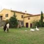 Farmy - Manciano, Agriturismo Casale Dell'Aldi