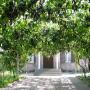 Penzióny - Akhaltsikhe, Olimpo Guest House