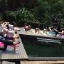 Guest houses - Alajuela, Flor de Mayo Airport Nature Reserve