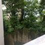 Privatzimmer - Rio de Janeiro, Guest House Marly 2