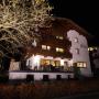 Apartmány - Hippach, Appartement Gästehaus Aloisia