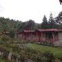 Курортные отели - Ravangla, Mount Nursing Village Resort