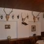 Hotely - Staufenberg, Hotel zum Ritter
