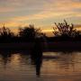 Lodges - Bawiti, Desert Fox Club Camp