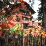 Szállodák - Celerina, Chalet Speciale