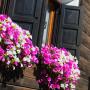 Apartmány - Livigno, Casa Faifer mountain holiday Livigno