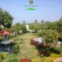 Курортные отели - Sasan Gir, The Gir Resort